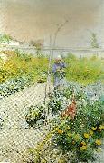 Carl Larsson, i kakstradgarden